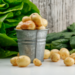 Kufri Surya (Warm Climate Variety)